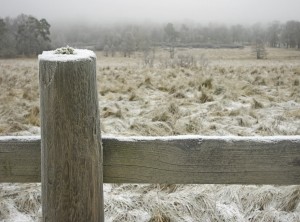 Winter Fence Damage