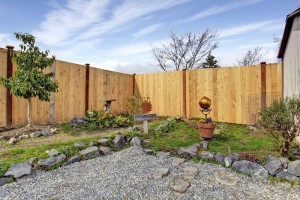 privacy fence in a small backyard