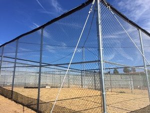 Hercules Fence Supports SBCI Program to Save Endangered Whooping Crane Species