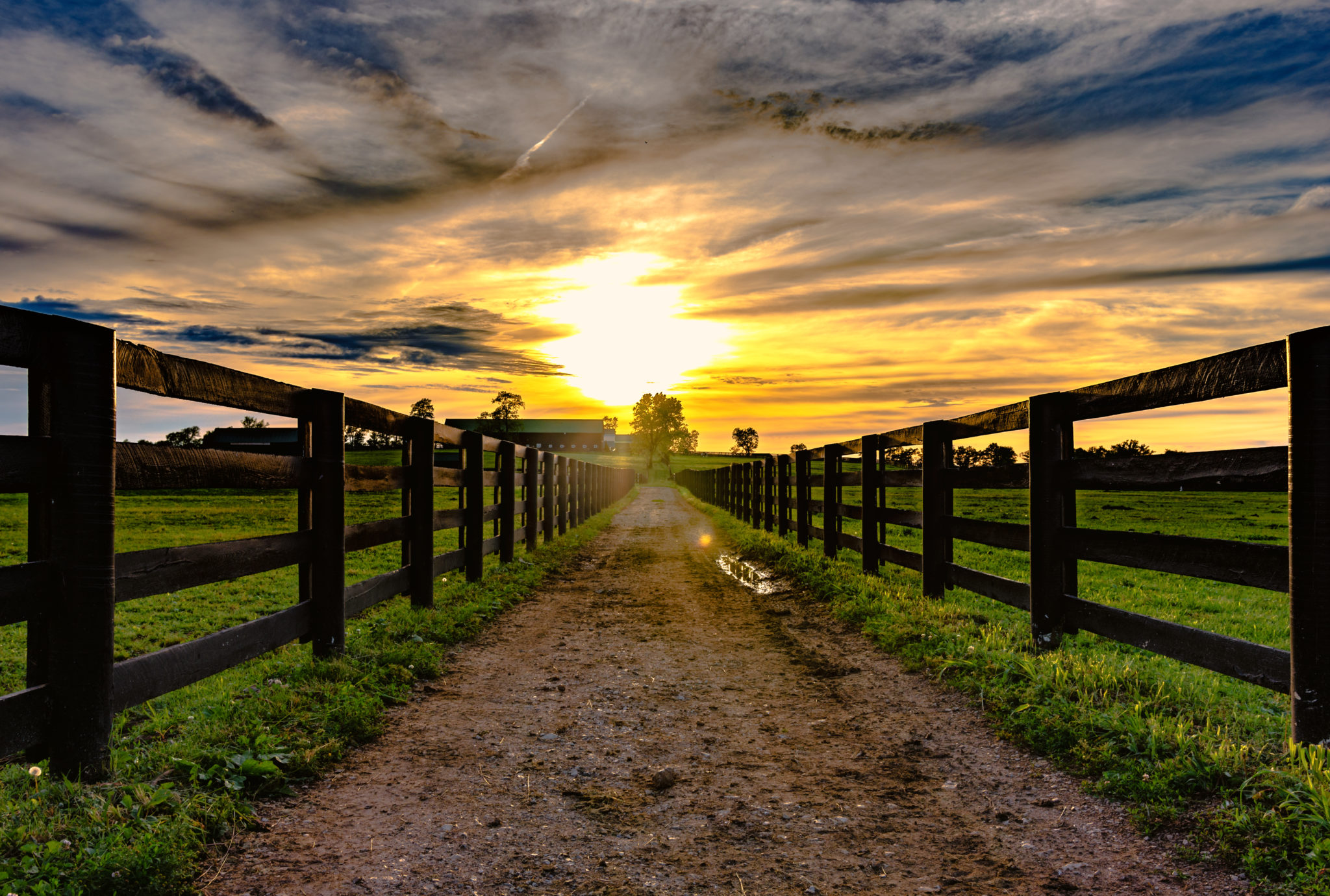 4 Fun Facts About Fences - Hercules Fence Newport News