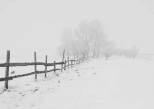 Signs of Winter Weather Residential Fence Damage Hercules Fence Newport News