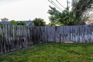 Why Is My Wood Fence Turning Green?