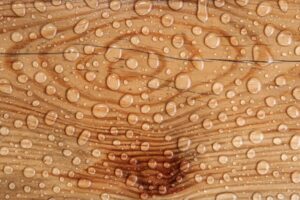  Signs That Your Wood Fence Has Water Damage