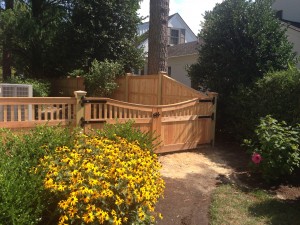 Cleaning Moss off a Wood Fence