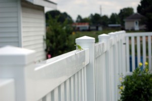 How to Handle Neighbors During Fence Installation