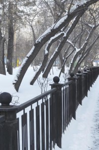 Winter Fence Construction