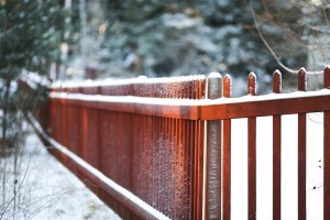 Winter Fence Damage