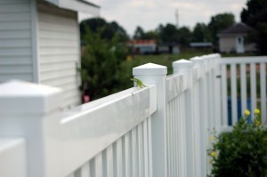 paint your vinyl fence